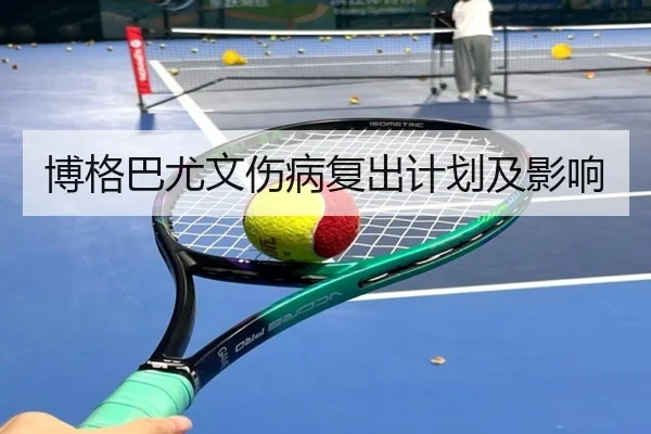 博格巴尤文伤病复出计划及影响
